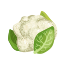 choufleur