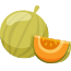melon